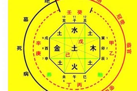 木火運|【喜木火的人】八字喜木火的人不可錯過的運勢錦囊，招財順利秘。